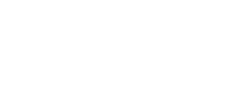 Bearousel